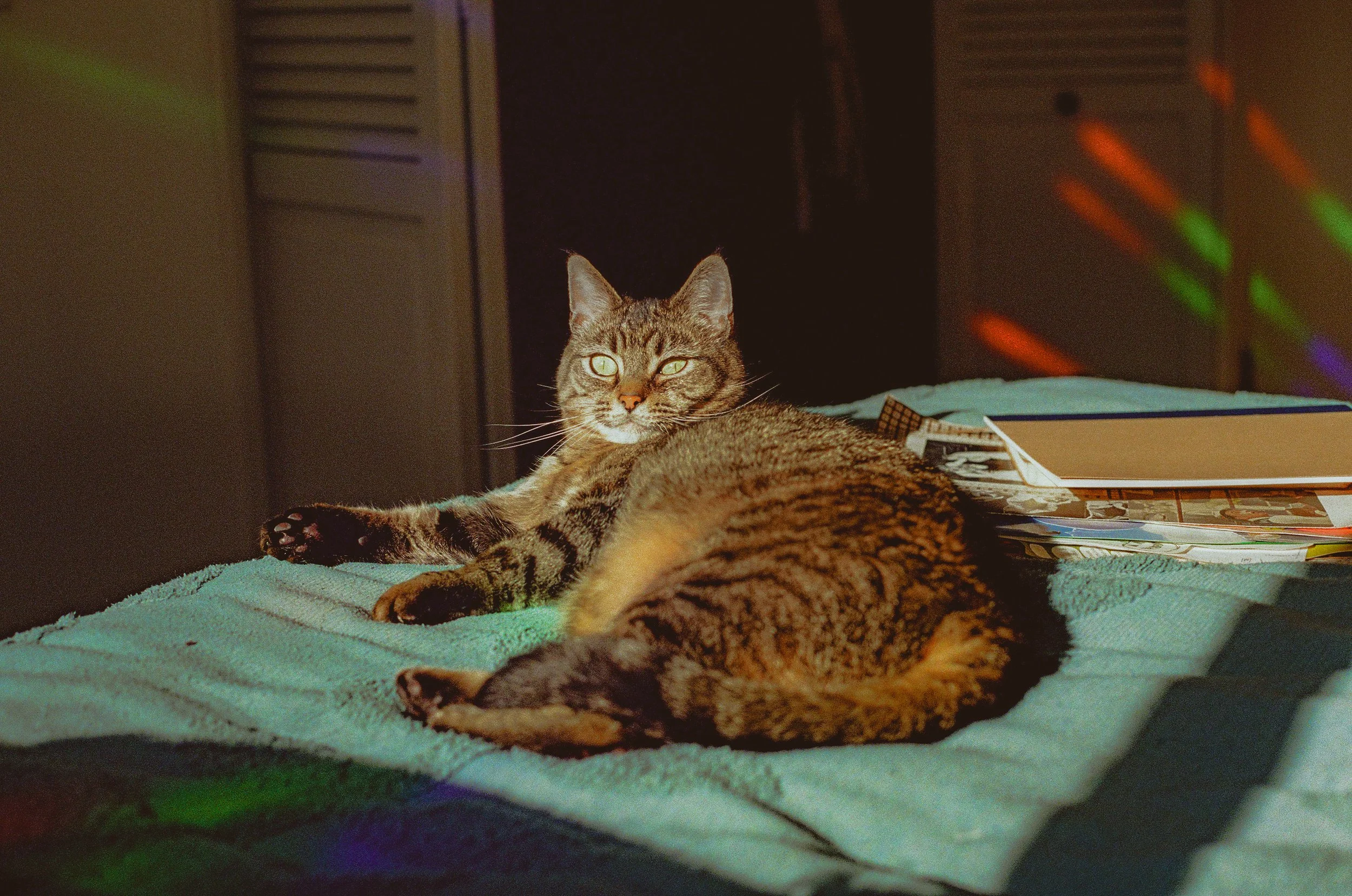 0026_24A.jpeg