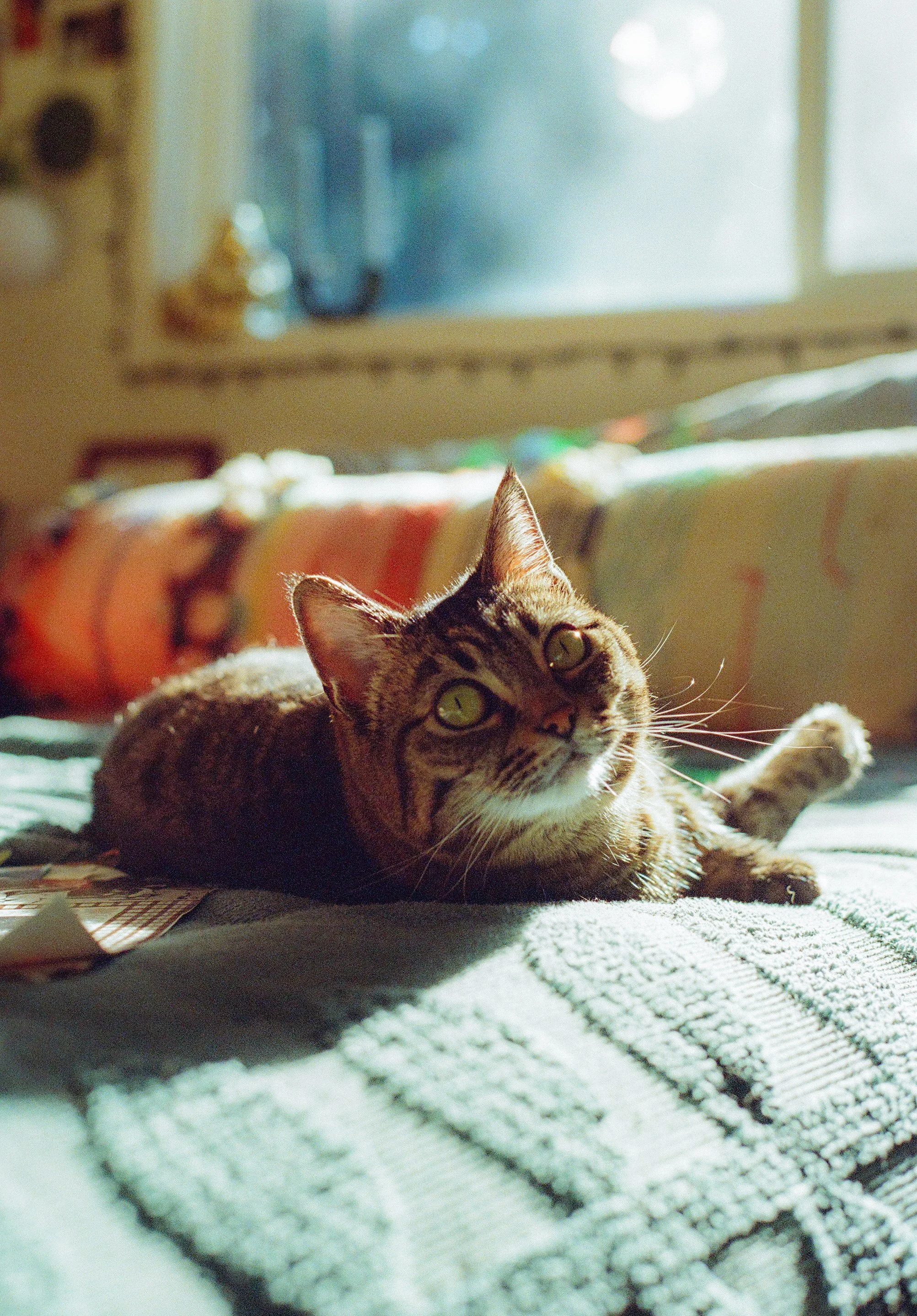 0028_26A.jpeg