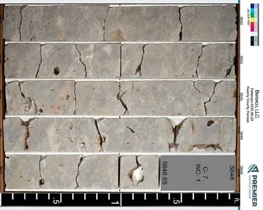 Storage Formation Characterisation