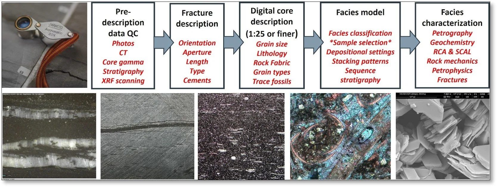 Integrated Geological Interpretation
