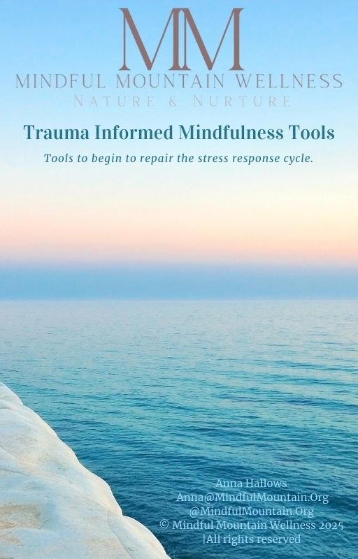 Trauma Informed Mindfulness Tools EBook