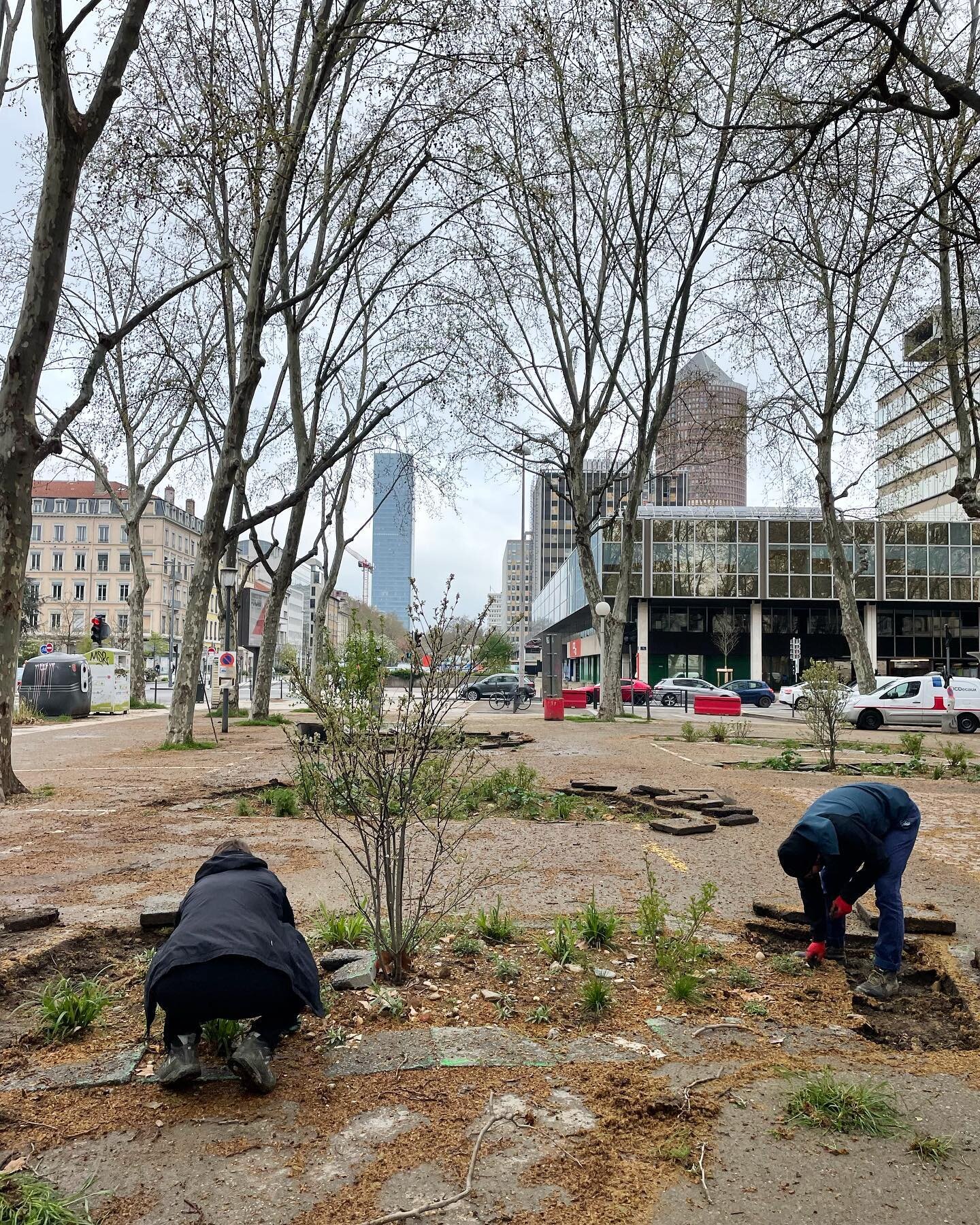 :: Place des Martyrs ::
S&eacute;ance jardinage

Avec @la_formidable_armada 
@lyonpartdieu 

#decroutage #natureenville #paysagisteconcepteur #landscapearchitecture 
#grandlyon 
#jardinbitume 
#urbanismetransitoire