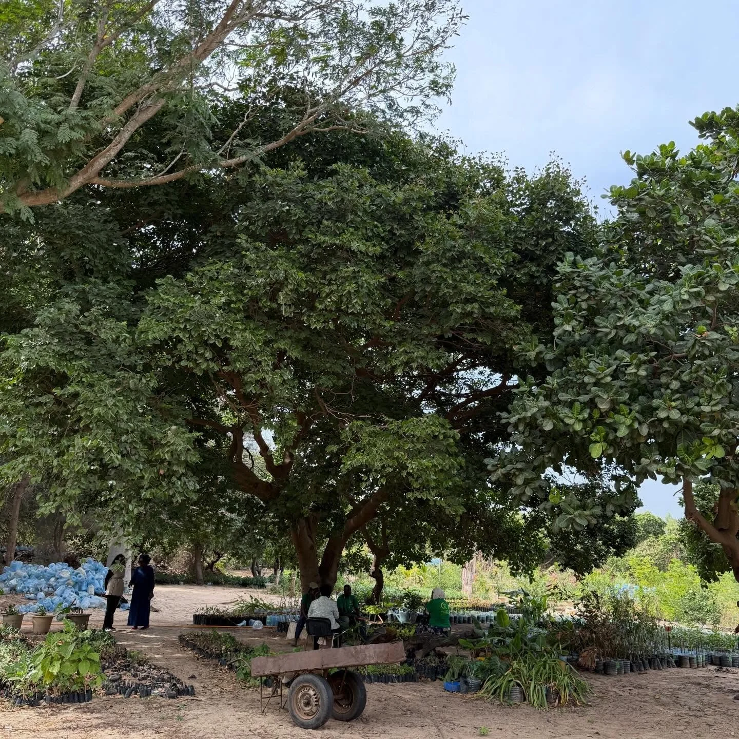 Destination le S&eacute;n&eacute;gal 🇸🇳 pour de nouvelles aventures&hellip;
Projet d&rsquo;am&eacute;nagement de r&eacute;sidences en vue des JOJ 2026. - Jeux Olympiques de la Jeunesse qui se d&eacute;roulent au S&eacute;n&eacute;gal en octobre 202