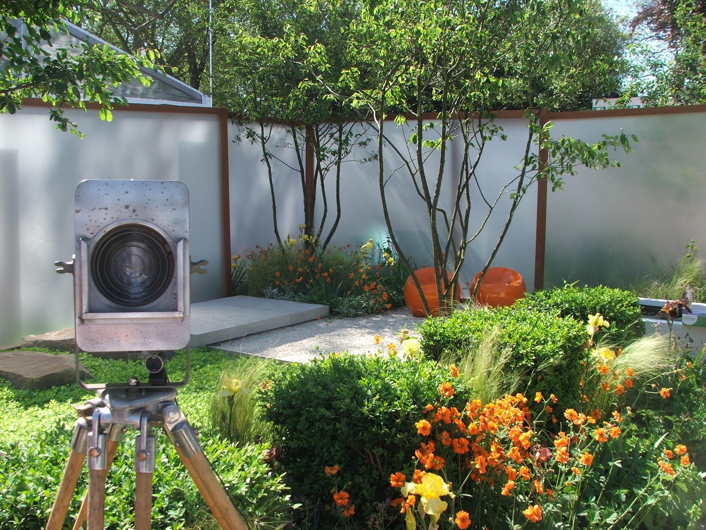DSCF8718.jpg