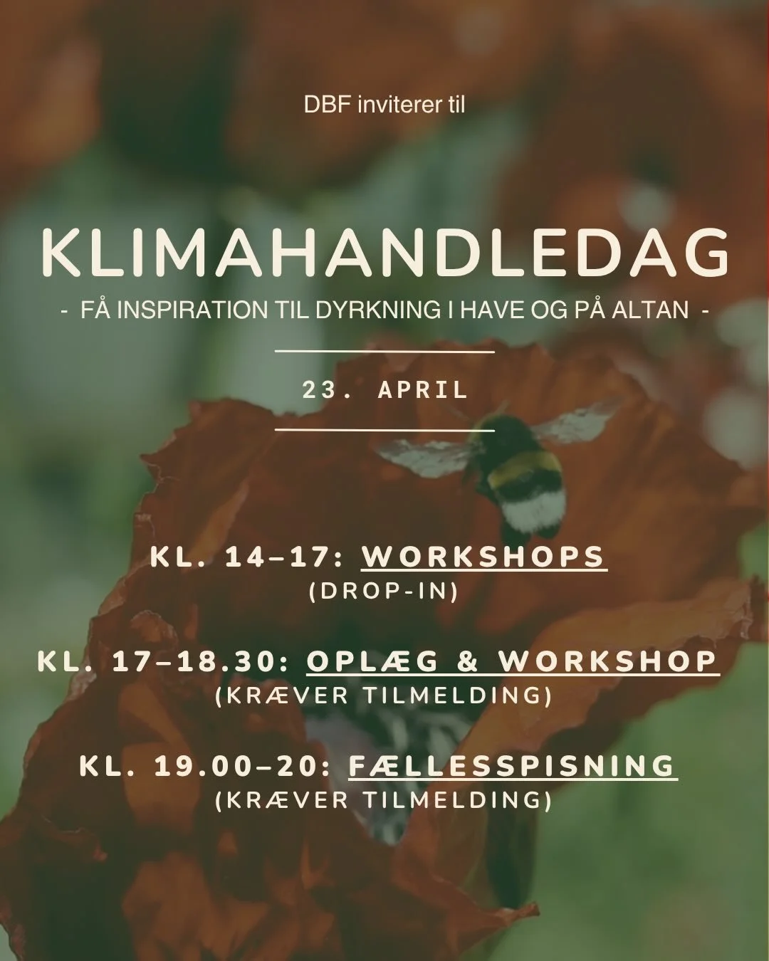 Torsdag d. 23 april inviterer vi til Klimahandledag 🍀
Det bliver en dag med haven i fokus - dvs. du bl.a. kan f&aring; gode r&aring;d af @naturplanteskolen.dk til, hvordan du dyrker i krukker, du kan deltage i hyggelige workshops, deltage i f&aelig;