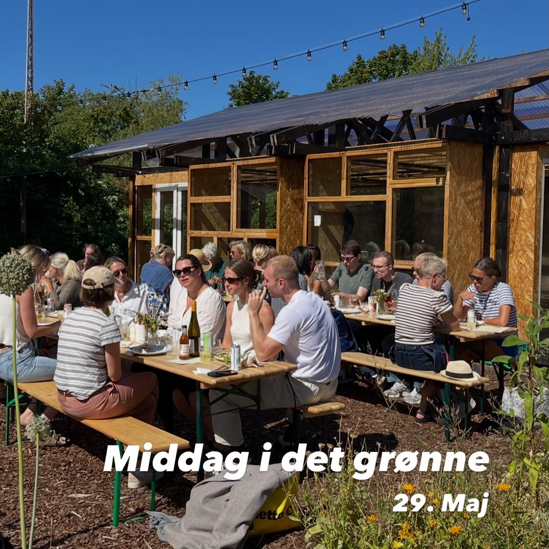 Kom til vores n&aelig;ste f&aelig;lles middag i @frederiksberg_faelleshave. Vi serverer l&aelig;kker mad fra @plante.pigerne og afslutter med l&aelig;kker soul musik af Vintage Vibes 😍🎷 det skal nok blive en sk&oslash;n aften 🍀💚
Se mere og bestil