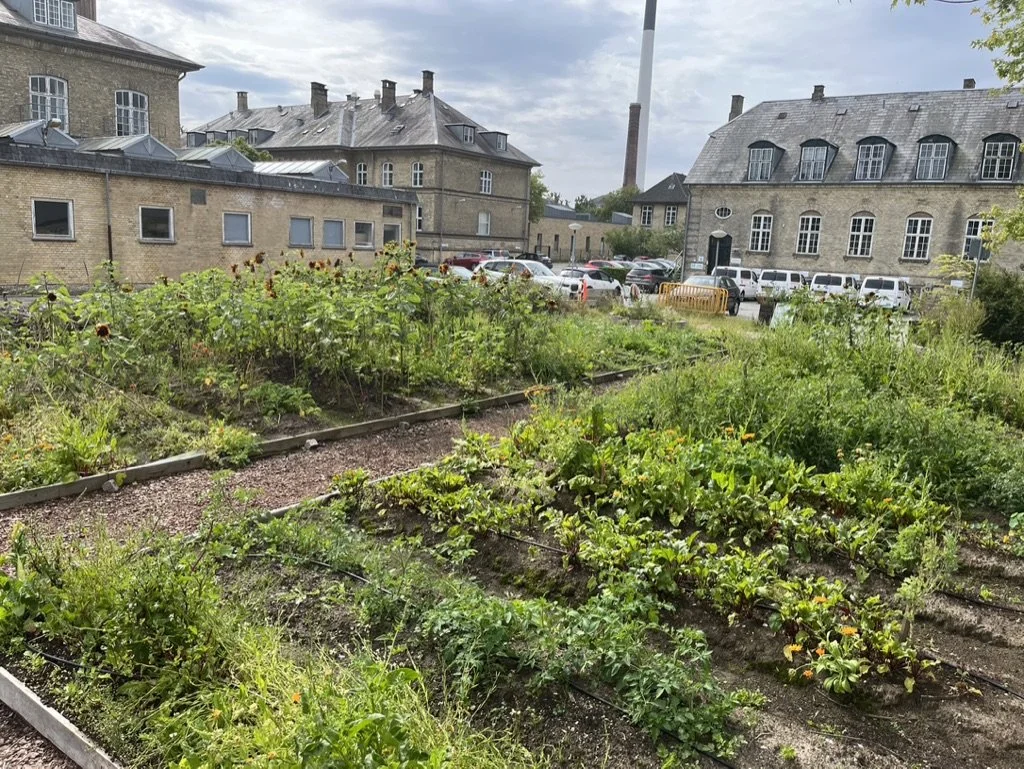 Få jord under neglene i Frederiksberg Fælleshave