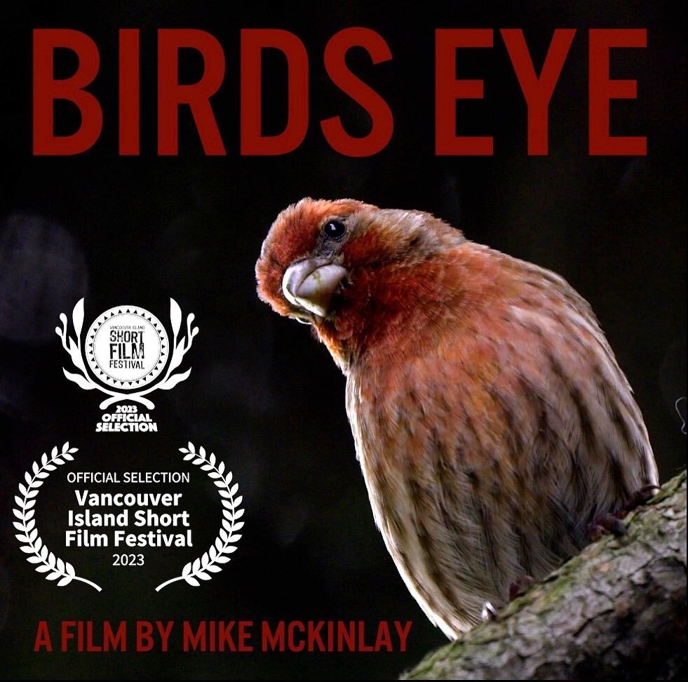 A very special passion project of mine will be making its big screen debut at the Vancouver Island Short Film Festival @visff on April 21st and 22nd. This 5 minute short gives it&rsquo;s viewer a unique glimpse into our human world through the eyes o
