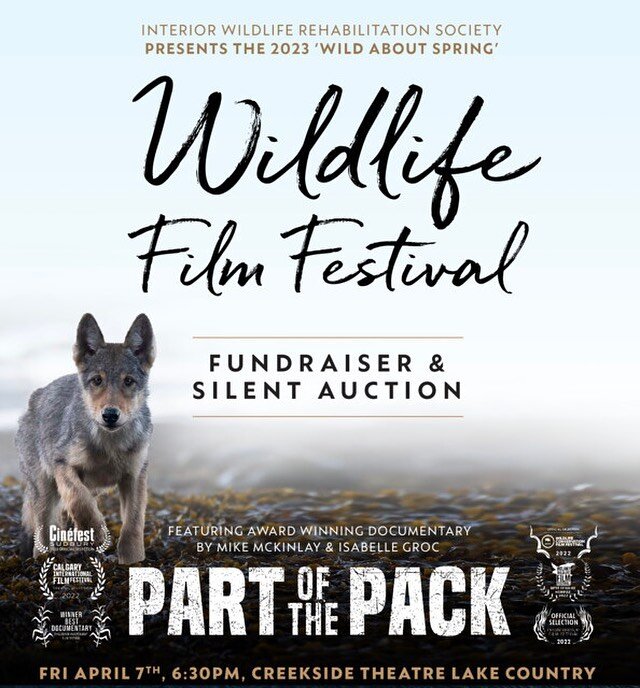 Our film PART OF THE PACK will be headlining the Okanagan&rsquo;s very first wildlife film festival as part of a Spring fundraiser to raise money for animal care at the &lsquo;Interior Wildlife&rsquo; care facility in Summerland. To see our film get 
