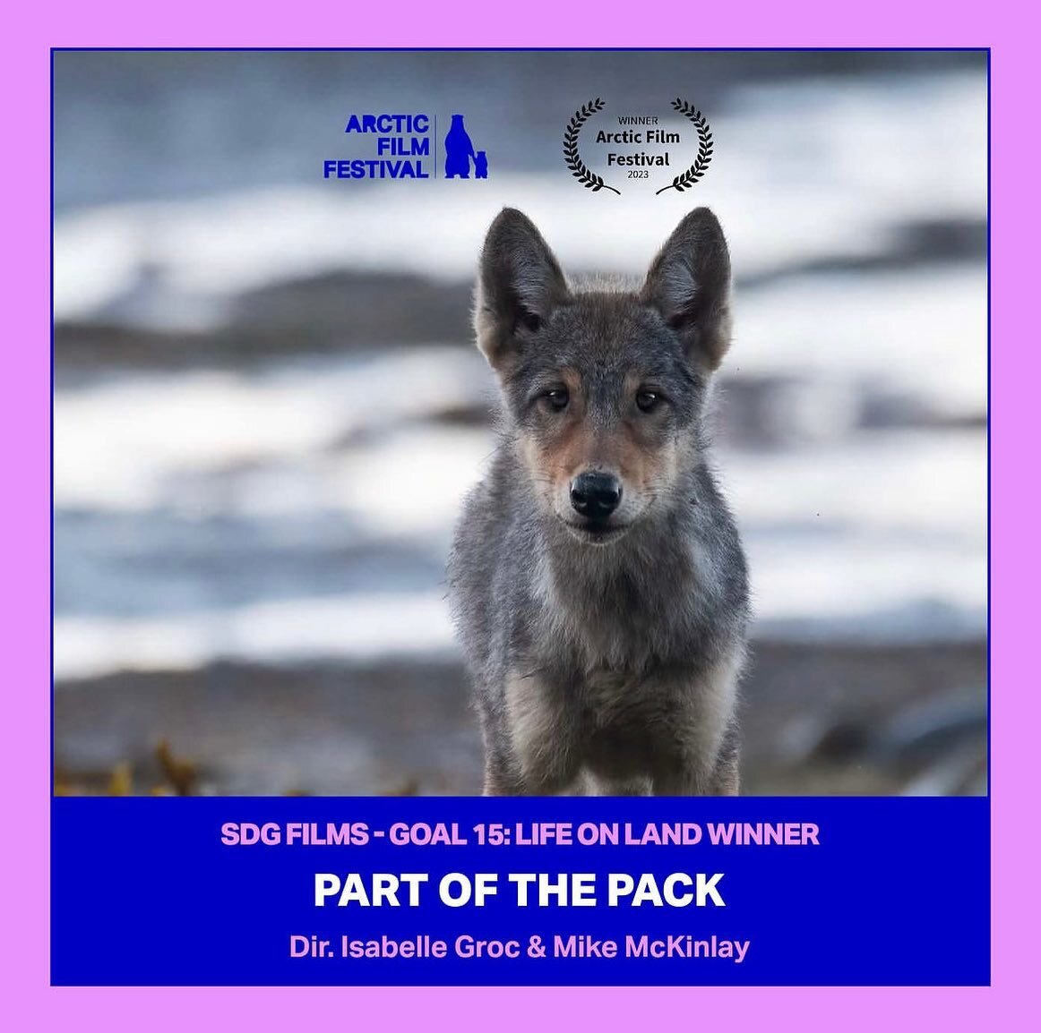 We just took home the SDG Films - Goal 15: Life on Land award for our film PART OF THE PACK 🎉🏆. Thank you to the @arcticfilmfestival in Stockholm, Sweden for this great honour🙏. #partofthepack🐺 #partofthepack #arcticfilmfestival #lifeonlandaward 