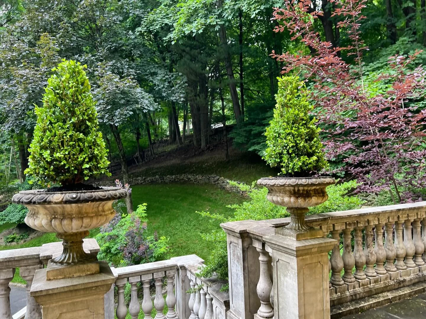 Feeling formal, with topiaries and urns. Summer touch-ups for entertaining.

#urnplanters #topiary #gardenparty