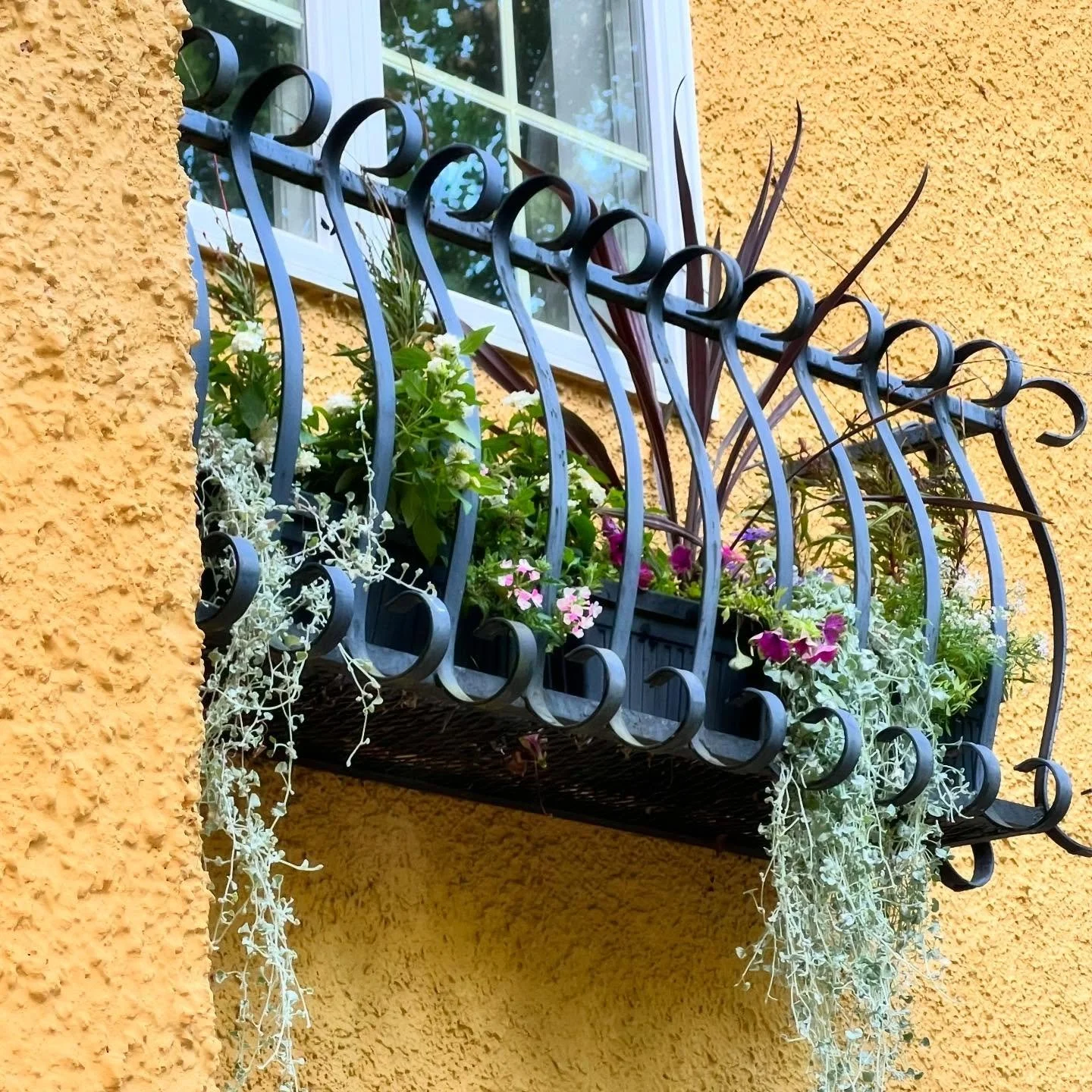 Weekend window-boxing.

#gardendesign #summergardens #windowbox