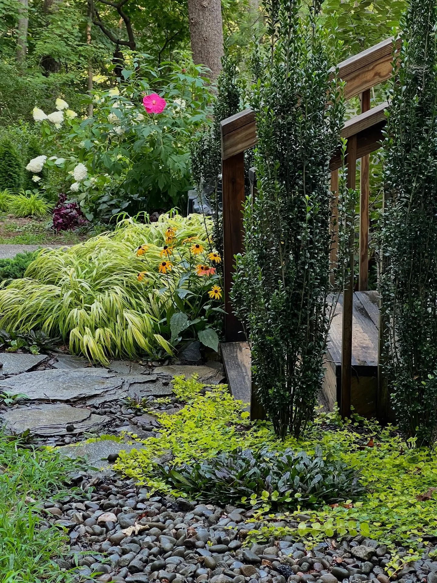 A cool August Sunday afternoon, and our lake garden is looking relaxed after all the heat and tree removal and flooding. A little calm after the storm/s.

#summergarden #lakelife #horticulture