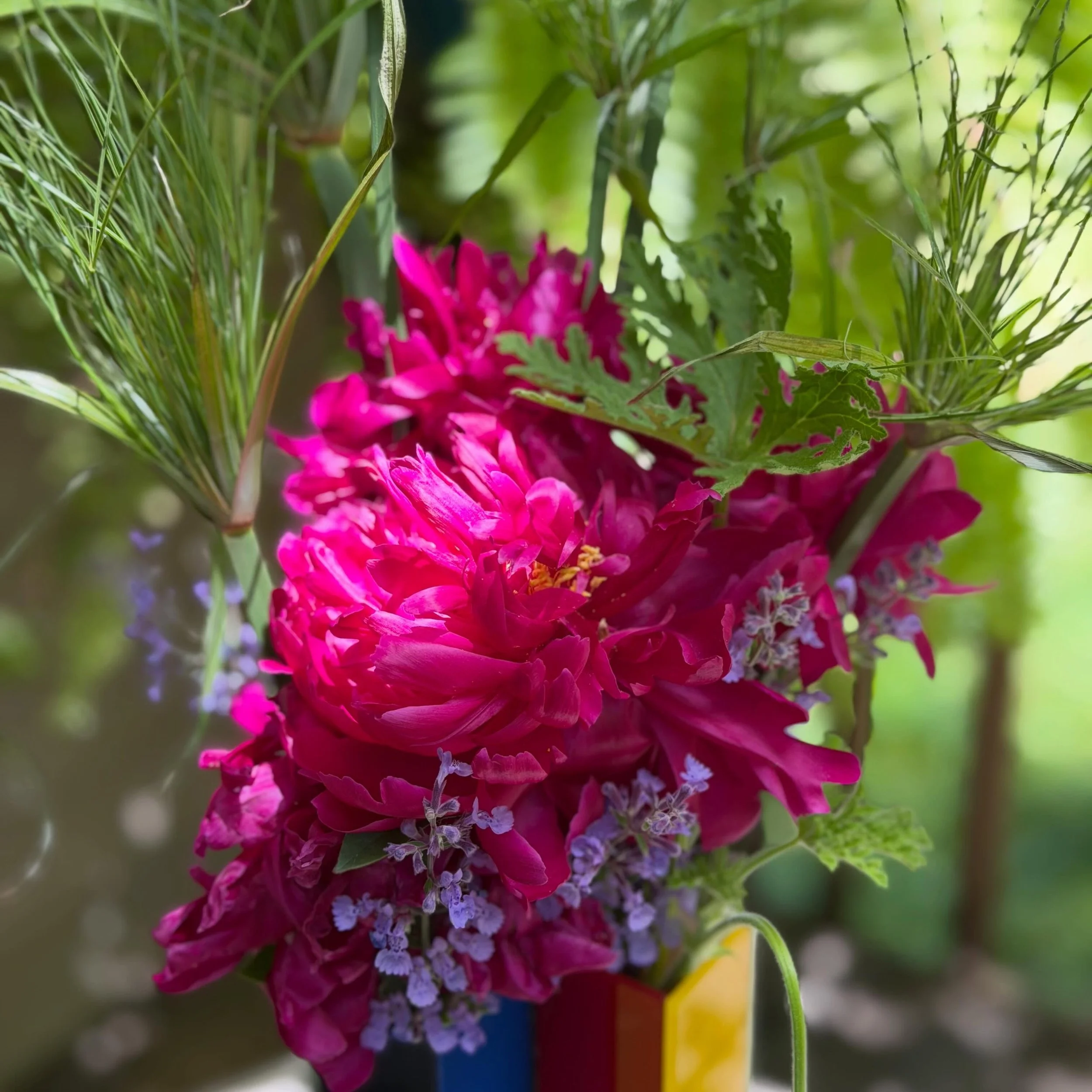 Cuttings from the garden.

#floralarrangement #freshflowers #gardeninglife