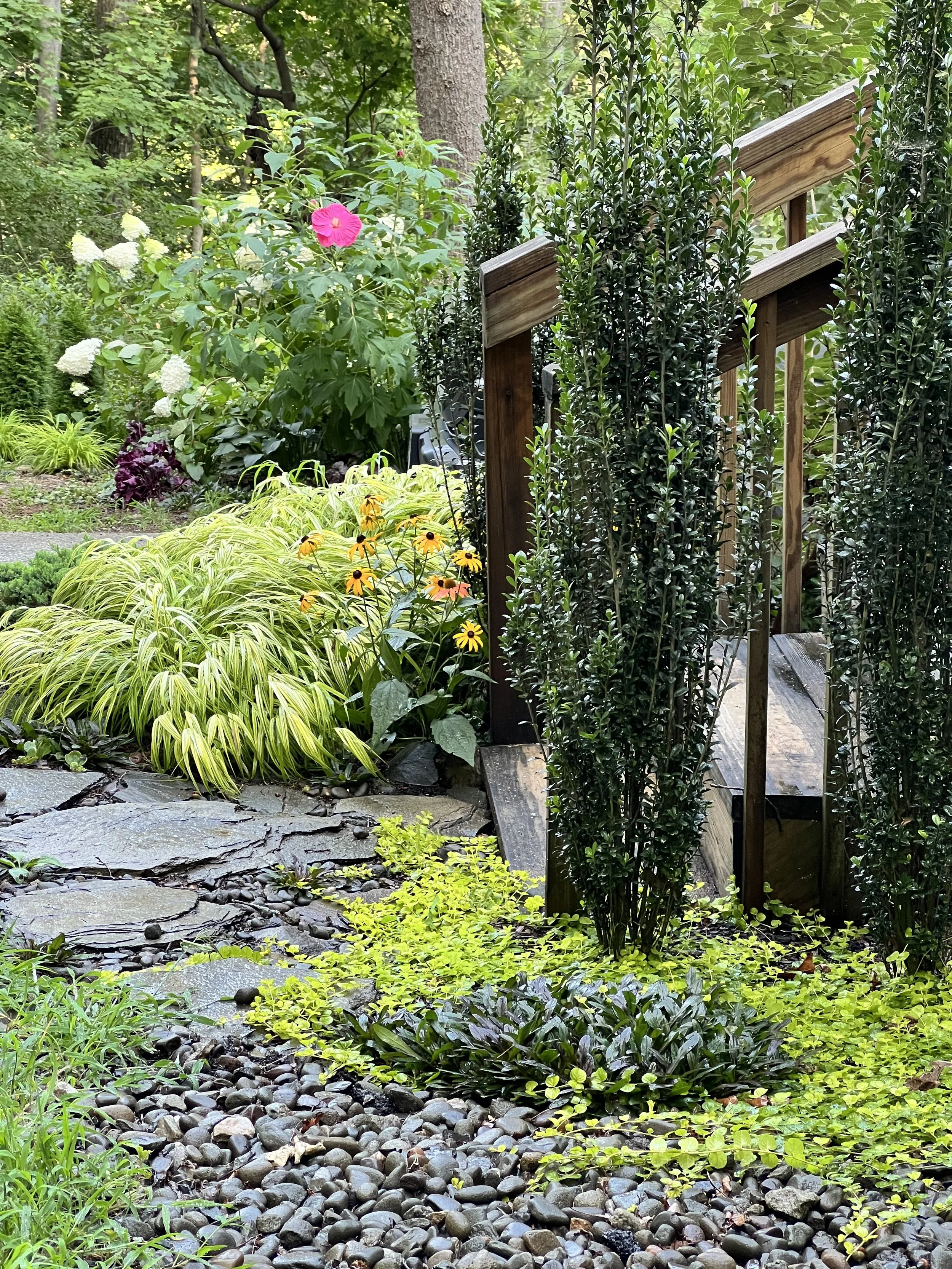 Woodland forest garden.jpeg