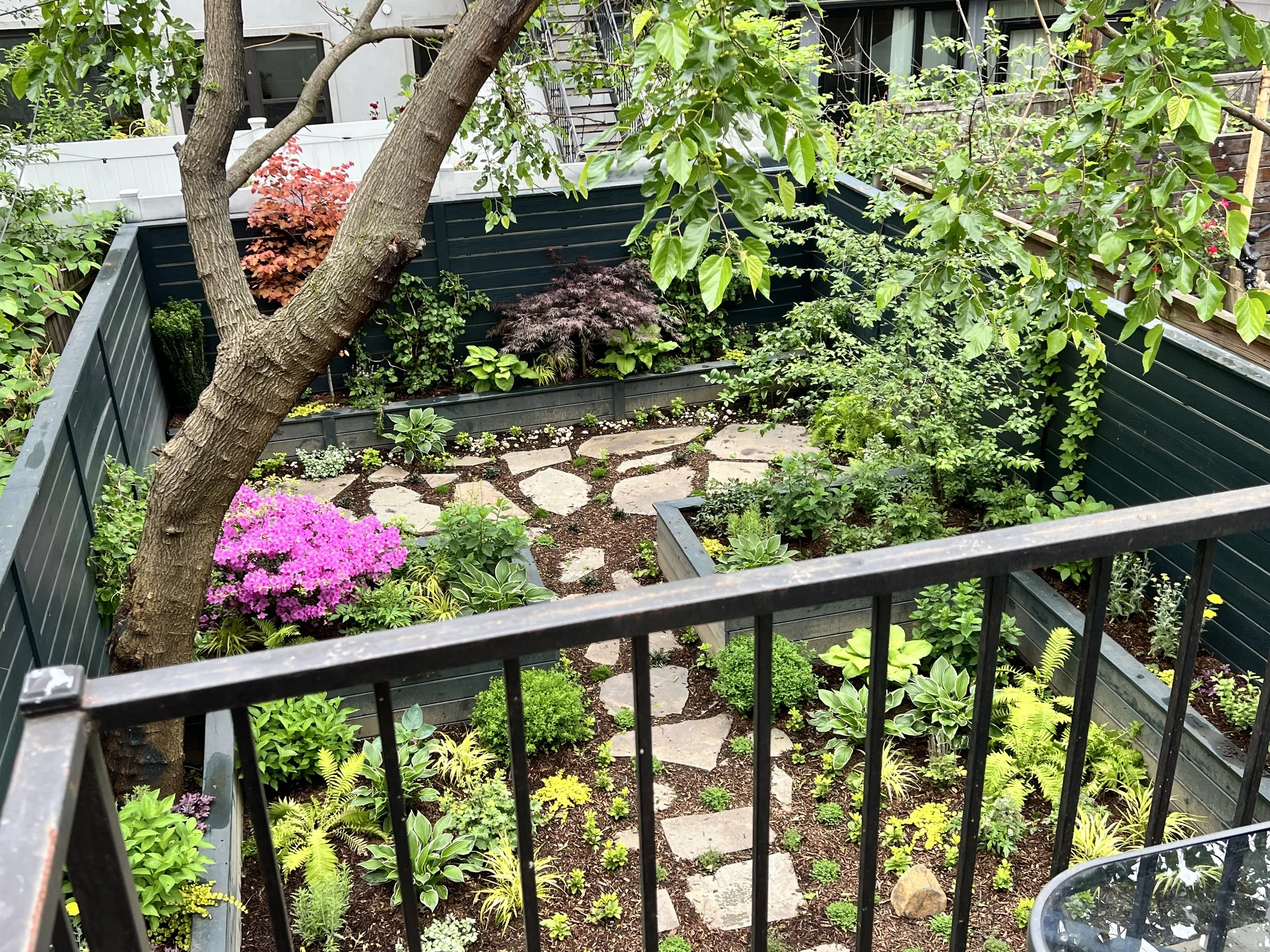 Brooklyn backyard garden.jpeg
