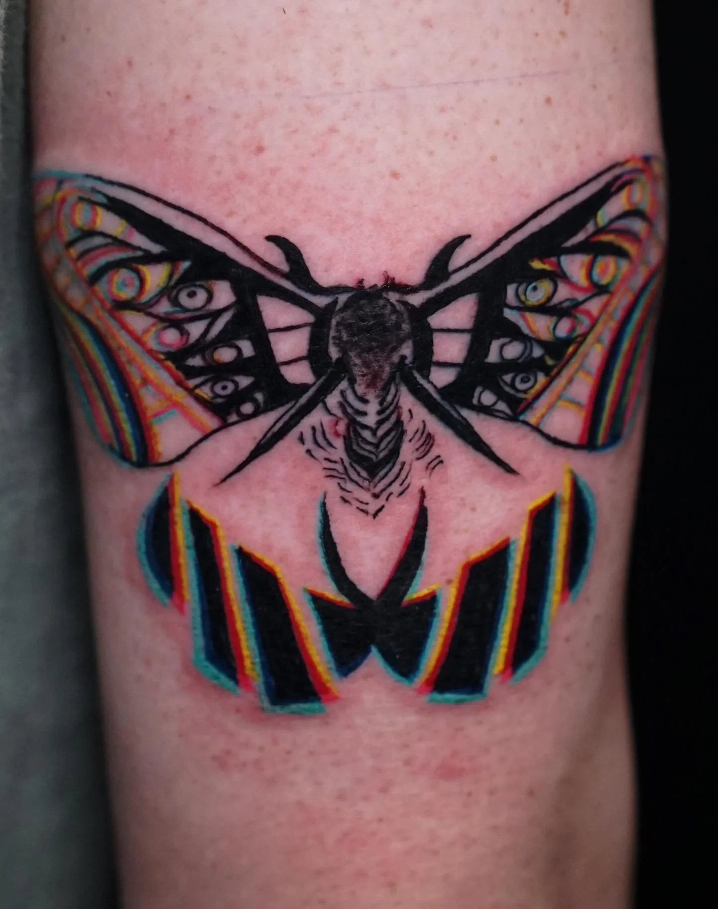 Glitch Moth 