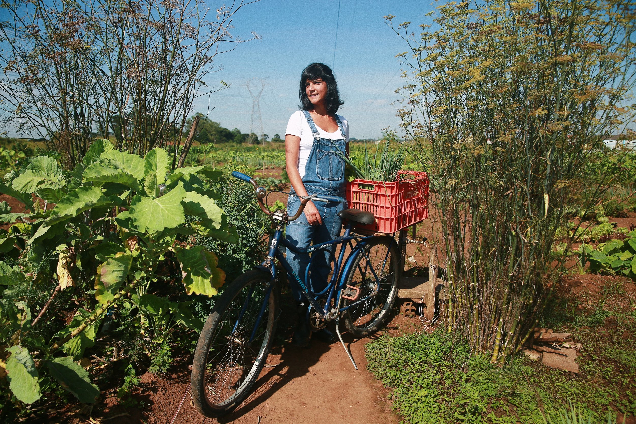 1. Credits Henrique Schmeil.JPG