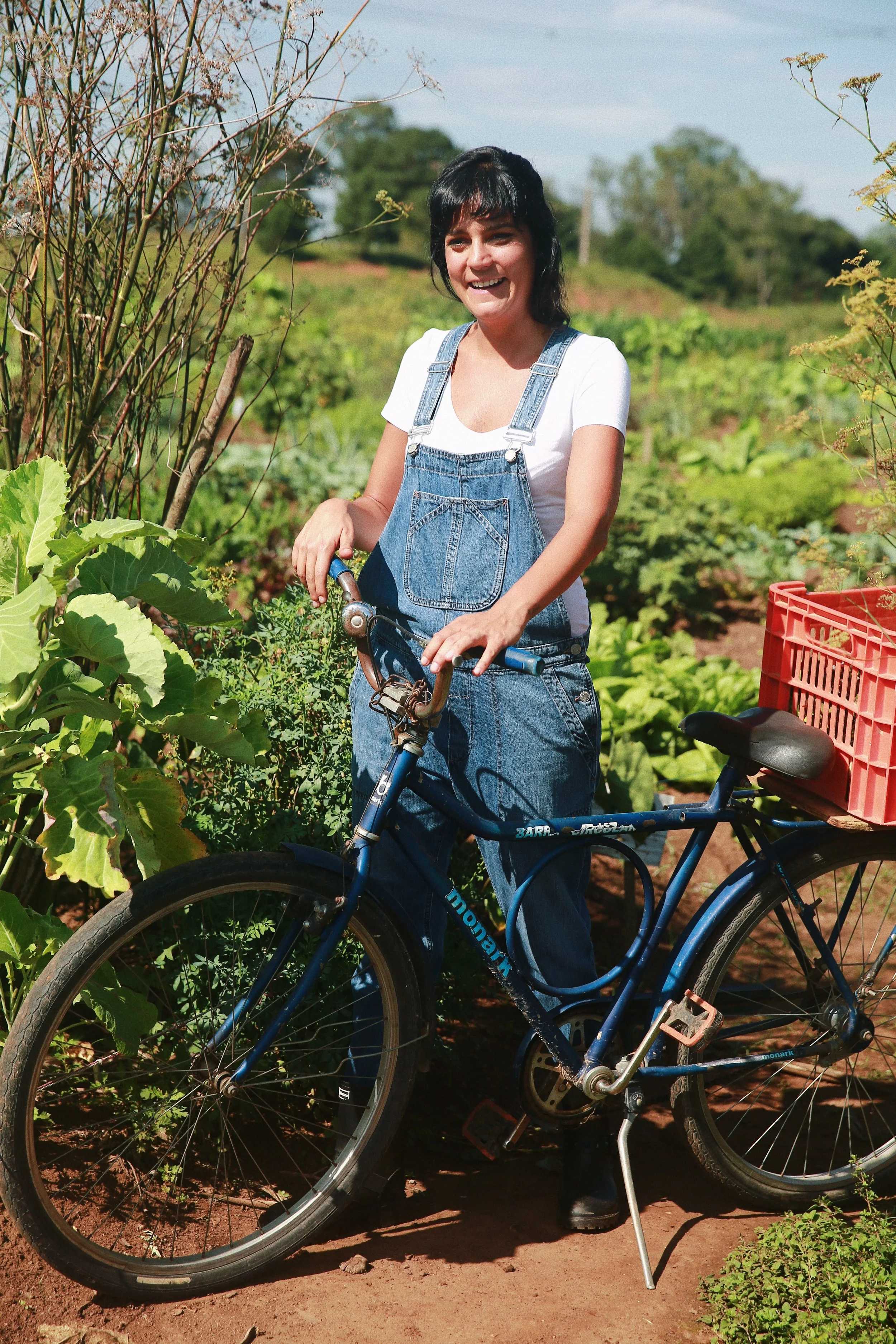 15.Credits Henrique Schmeil.JPG