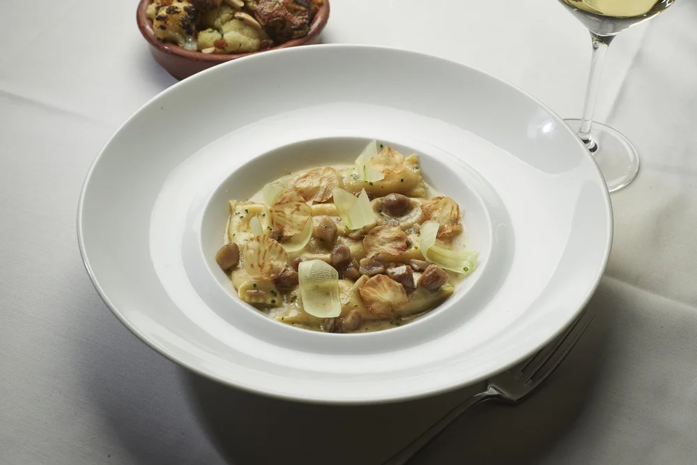 BSudNY_Agnolotti Doppio-1_1.13.22_Bill Milne.jpg