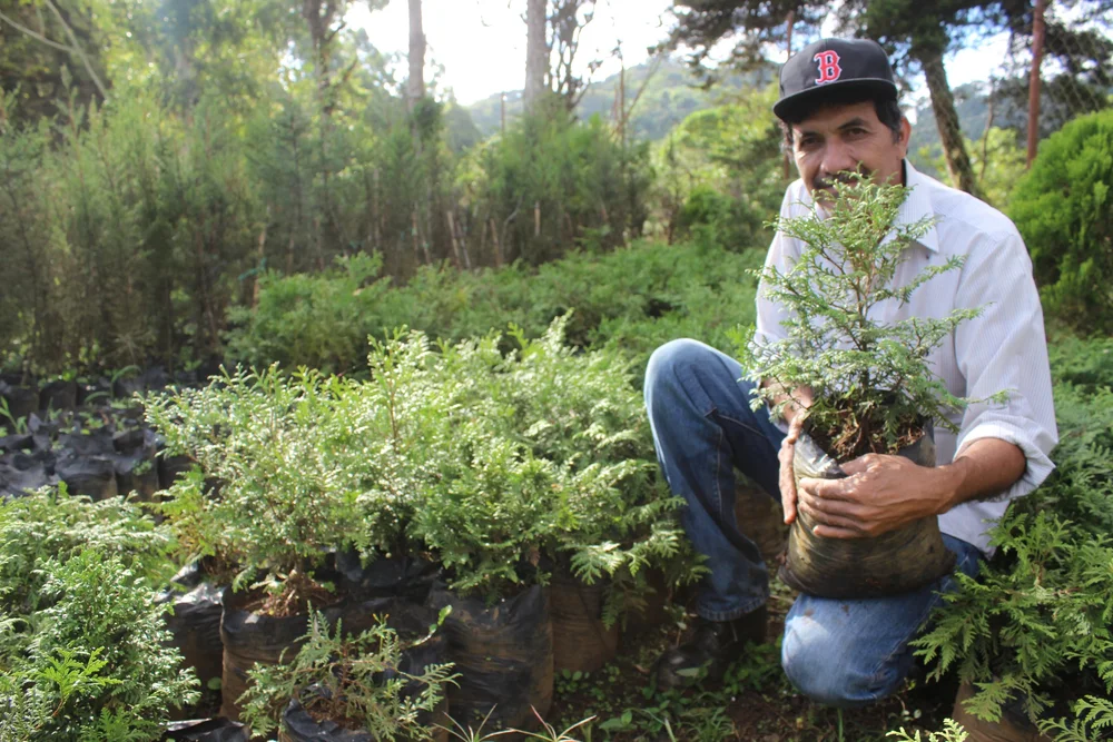 Groundwork_Farm-Jose Herrera.JPG