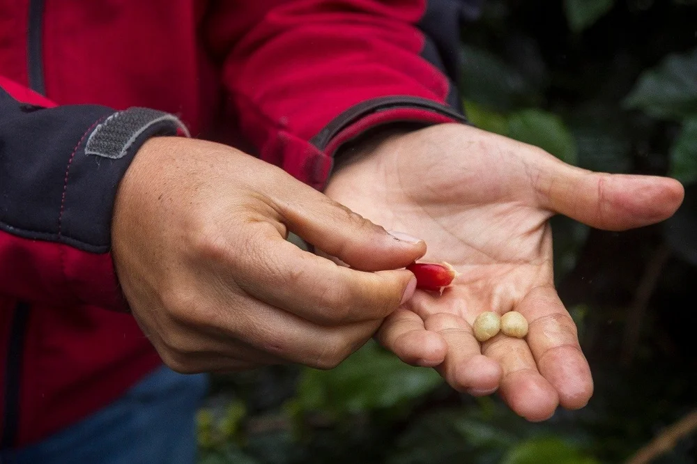 Groundwork_Farm-Julia Ortega Carballo 2.jpeg