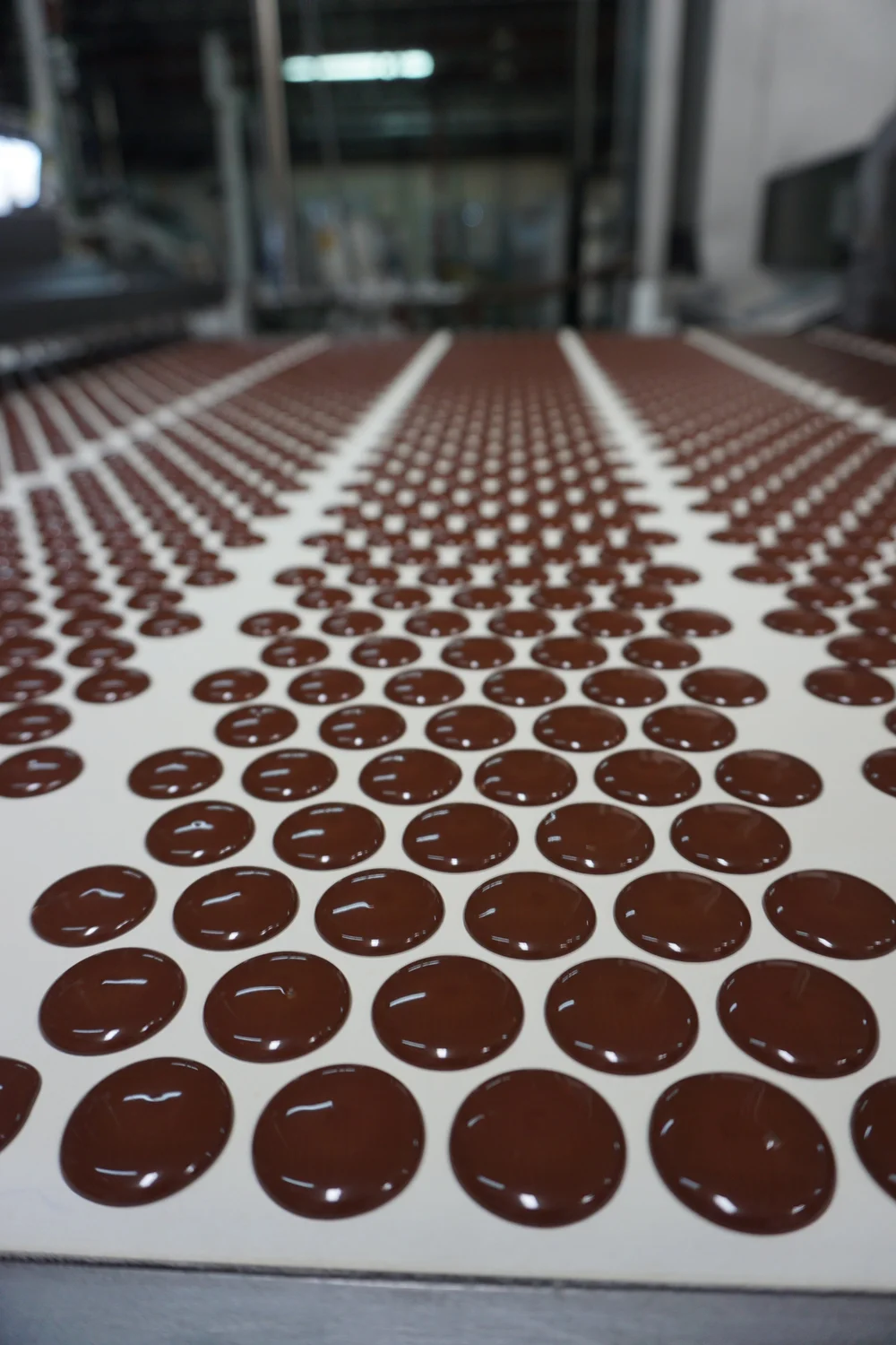 QUITO Ecuador_Planta28.JPG