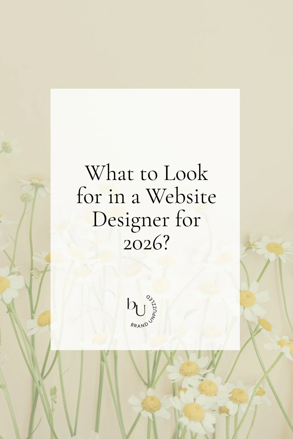 What to look for when hiring a website designer in 2026 