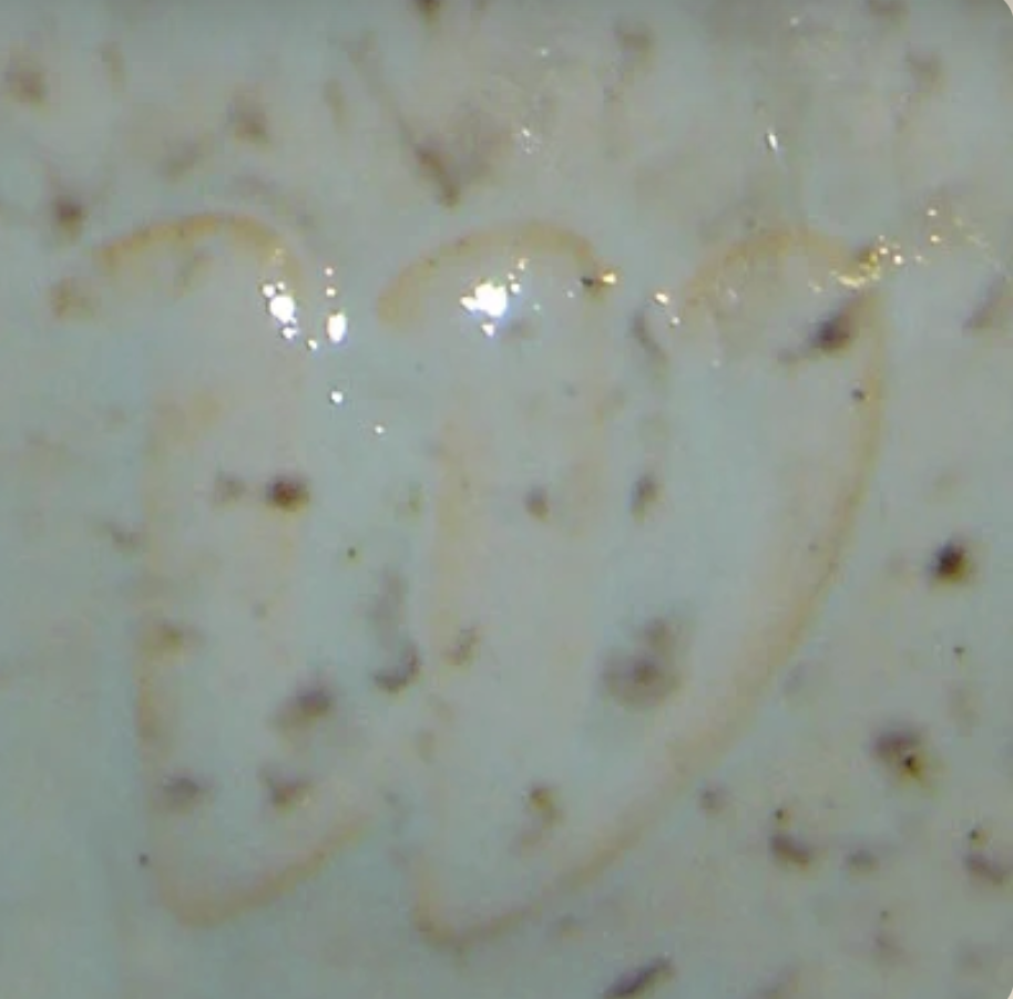 Screenshot 2026-01-08 at 10.08.57 PM.png