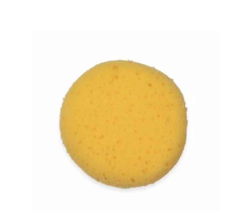 sponge.jpg