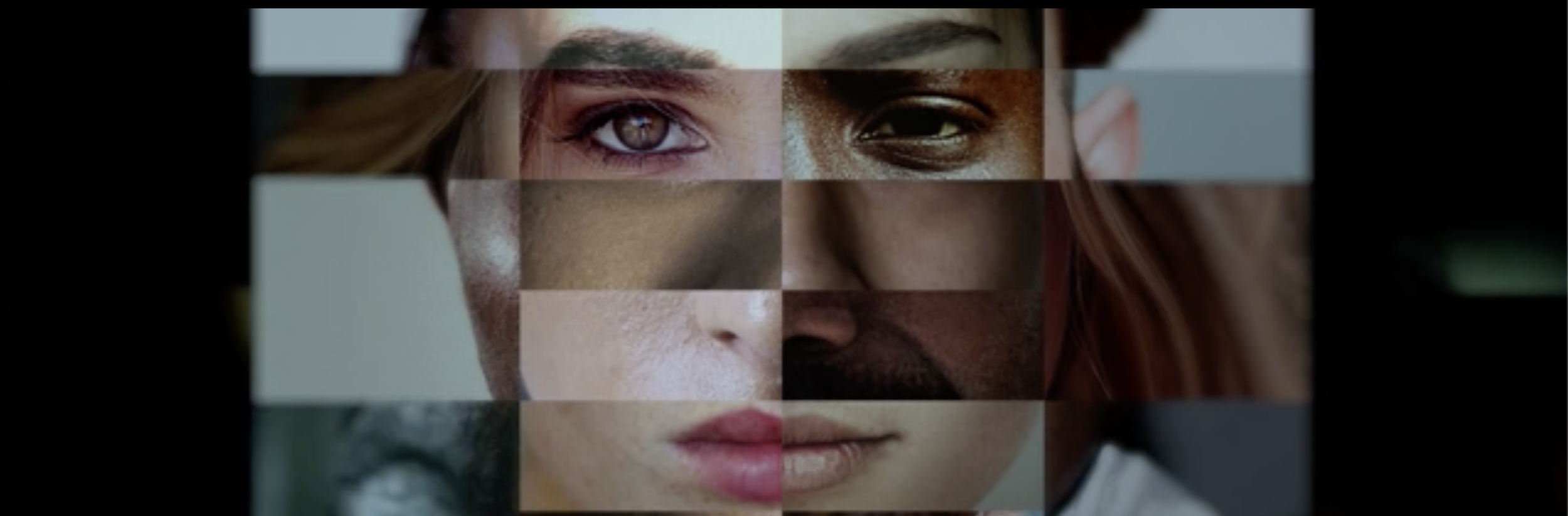 Identifier Cover 4.png