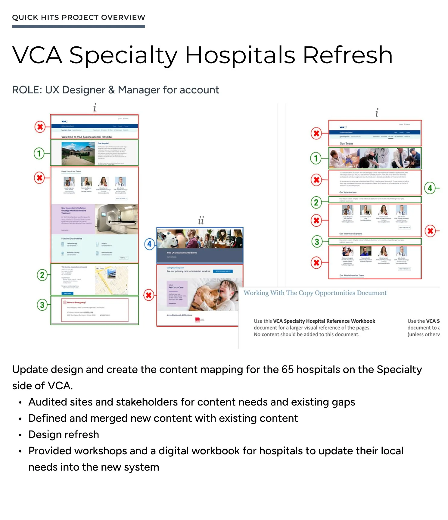 Project overview for VCA Specialty Hospitals
