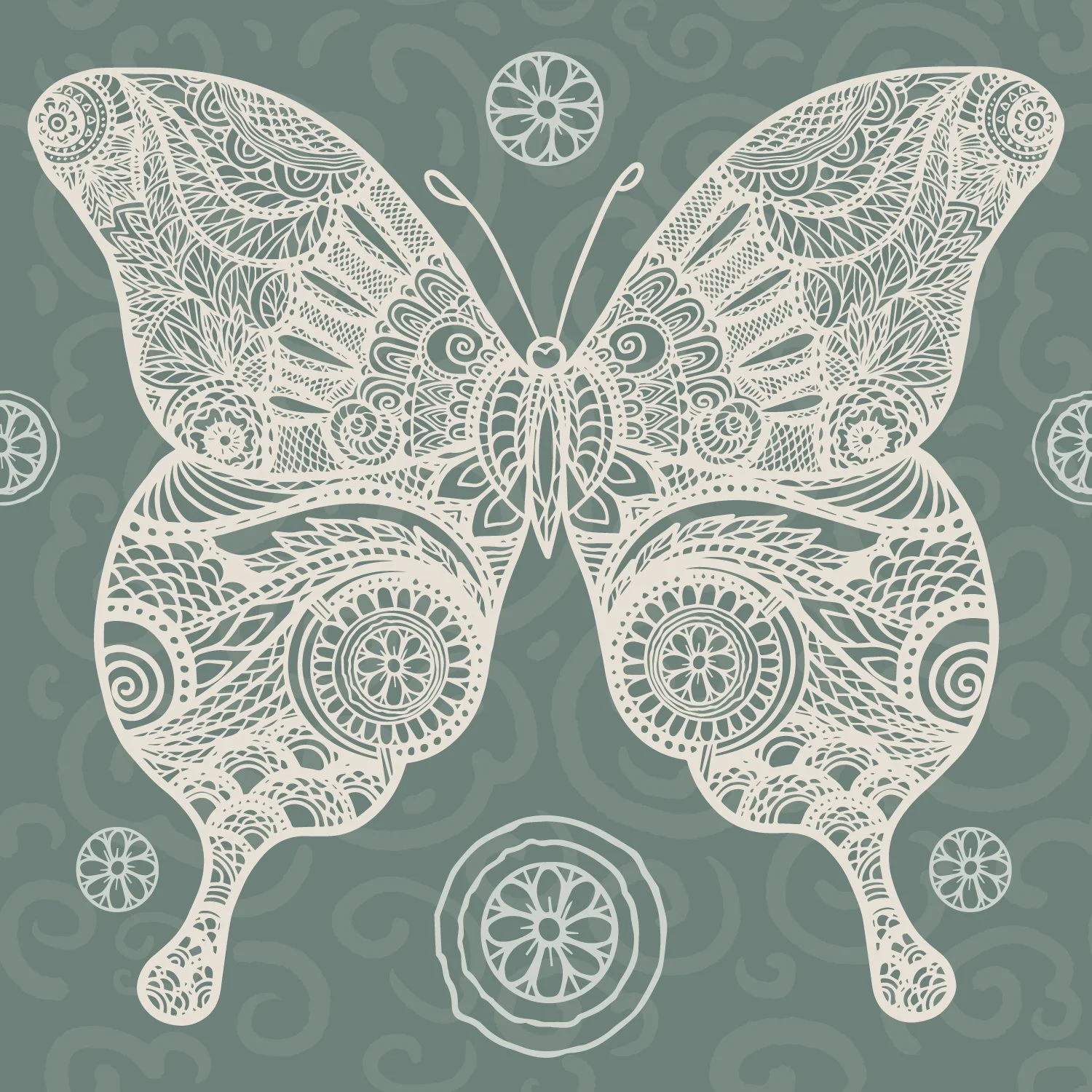 Butterfly _Geometry_01a-01.jpg