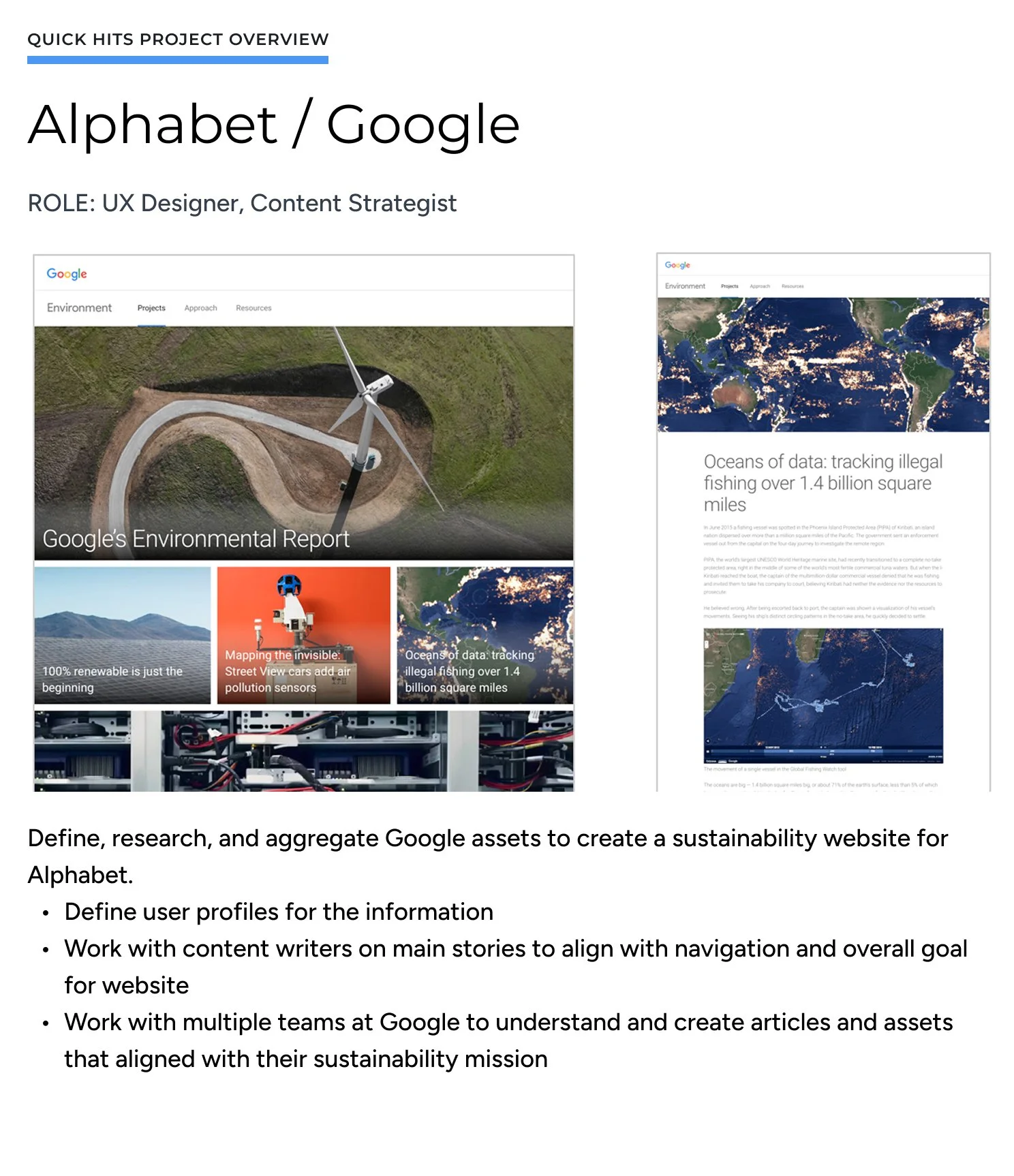 Project overview for Google Sustainability