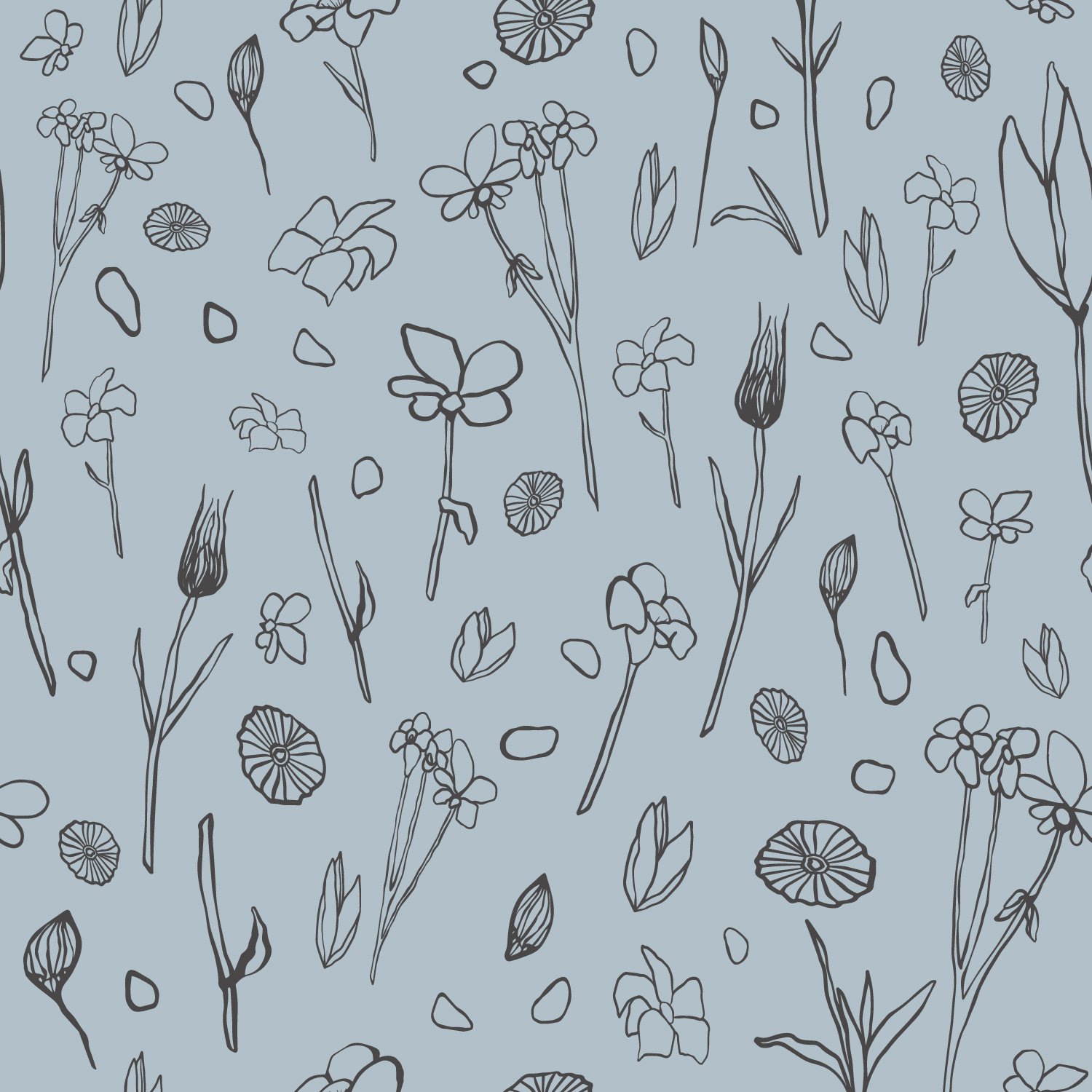 BOS_Correa Powder Blue.jpg