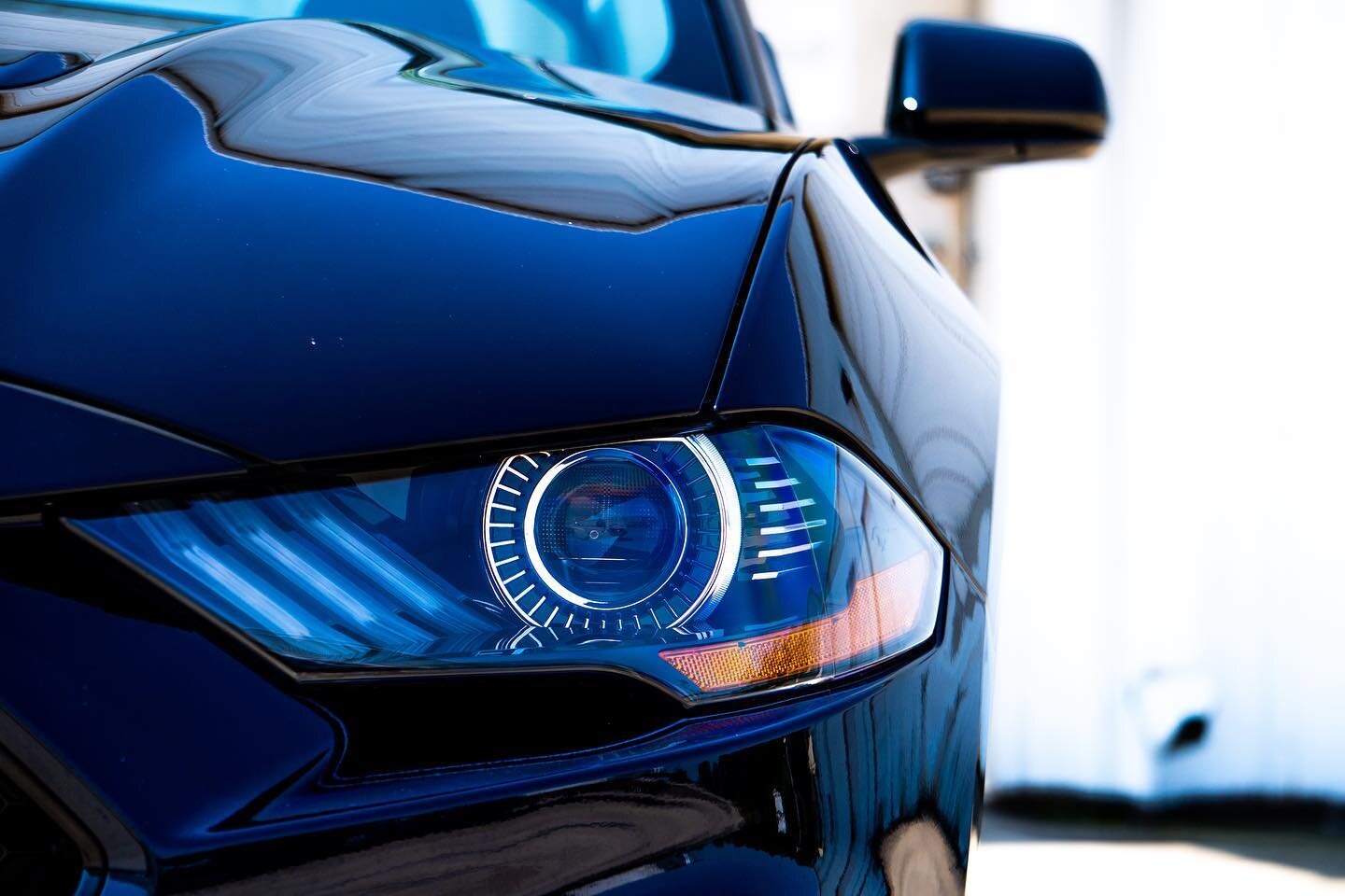 Mustang Monday👁️

#automotivephotography #automotive #photography #photographer #cars #carsofinstagram #instacars #mustang #ford #fordmustang #mustangphotography #wulffmediagroup #mustangmonday #photooftheday