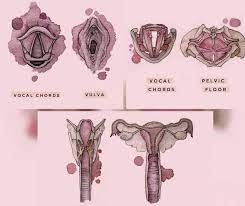 Pelvic Bath choir