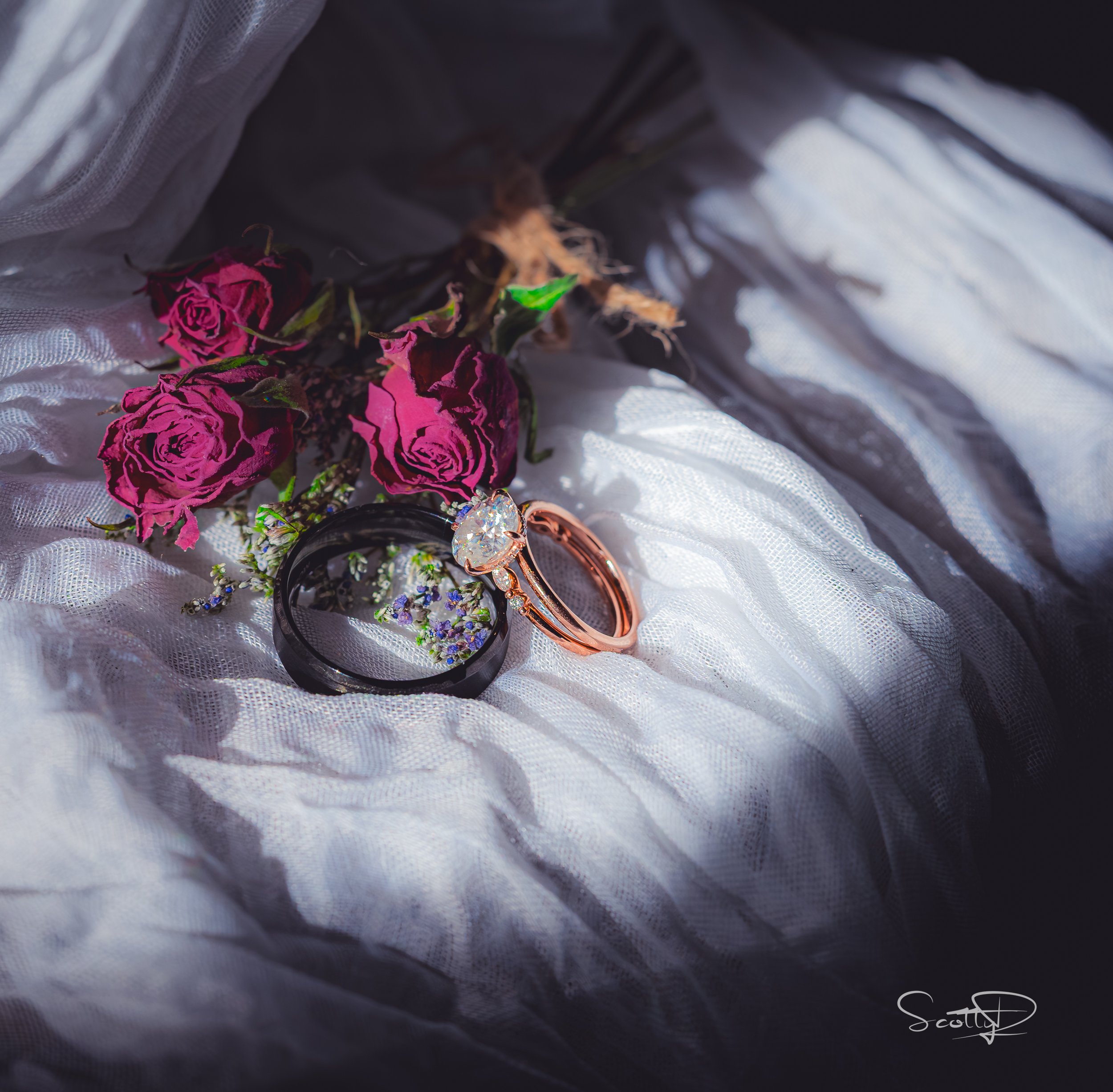 Mann-Wedding-9-2025 - -68.jpg