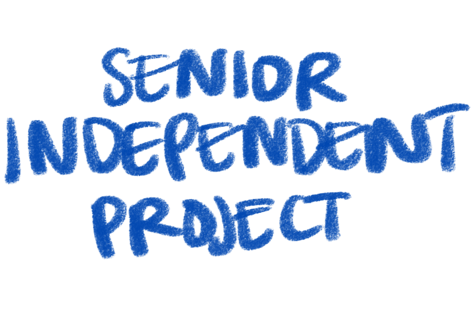 Senior Independent Project