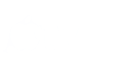 apple tv.png