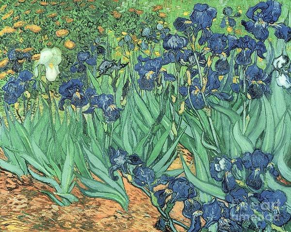 Van Gogh's Most Famous Paintings
