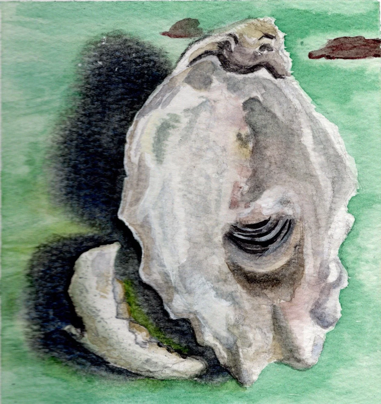 Watercolor painting of a large animal skull, likely a horse or cow, with a green background and two clouds or patches of sky.