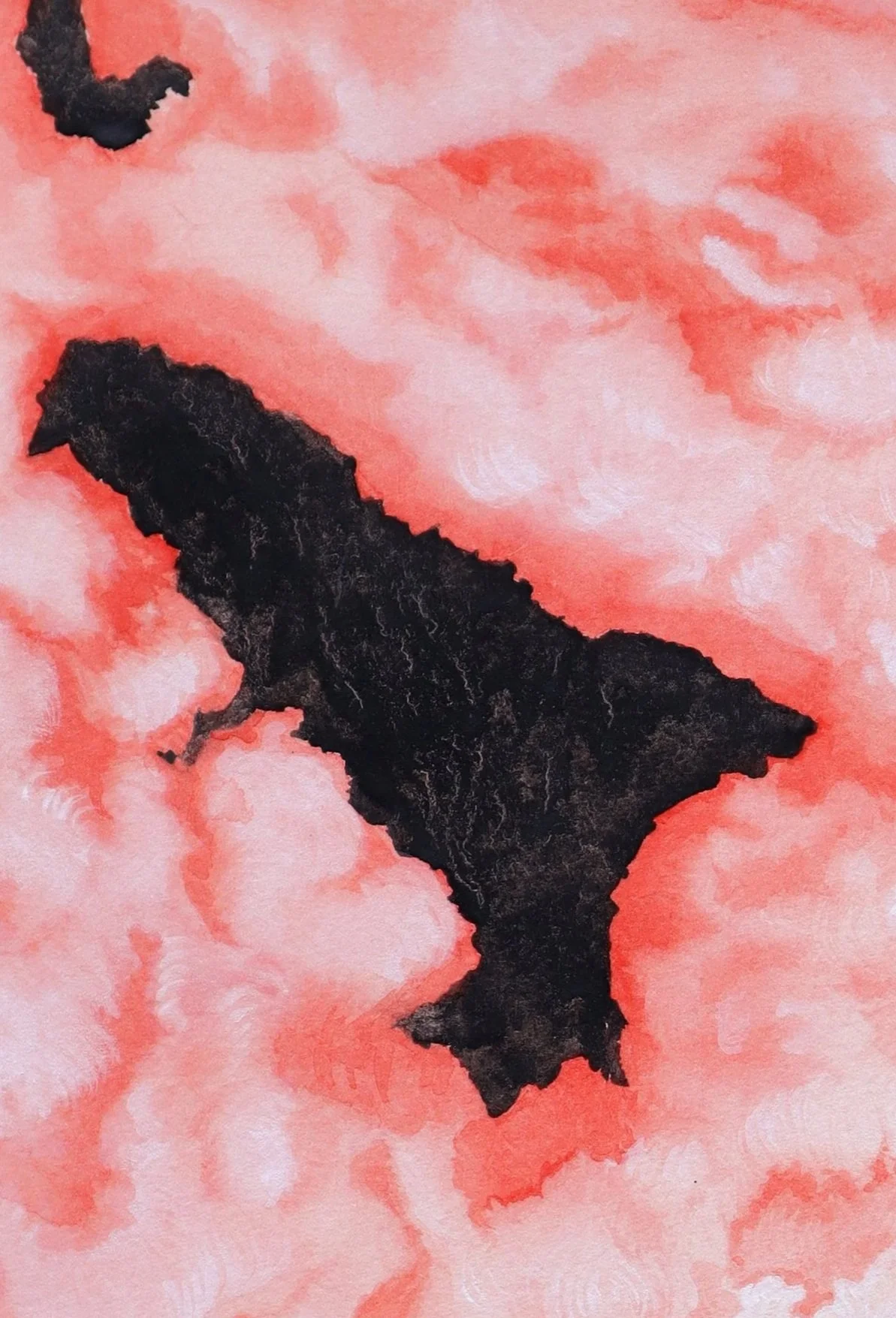 Katelin+Schutt_Veil+Splitter_2025_11x17_Watercolor+and+Liquid+Charcoal+on+Paper.jpg