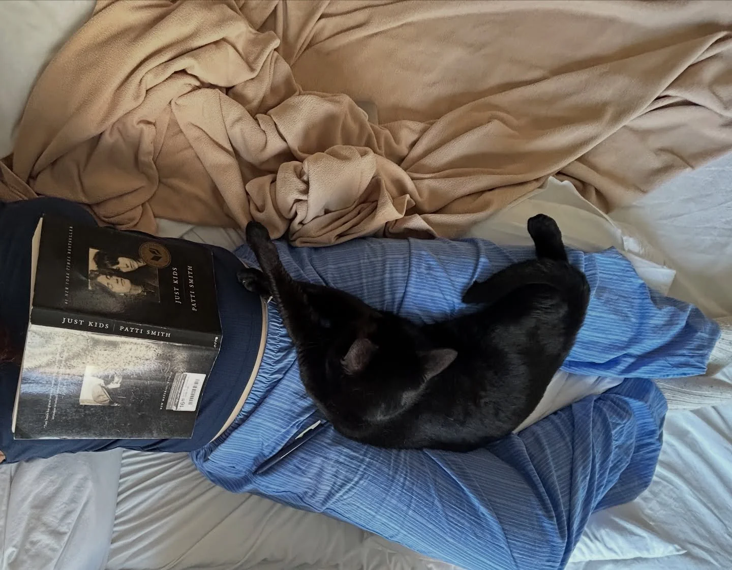 a plate full of assurances