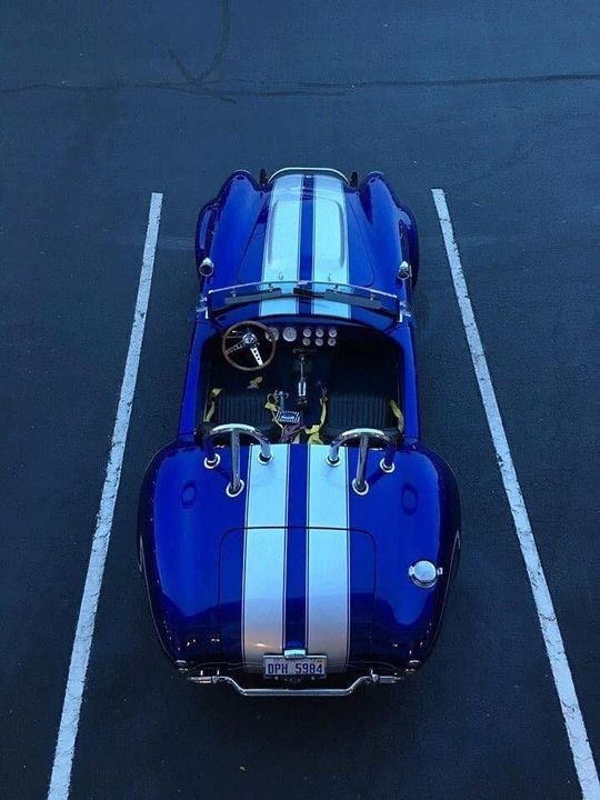 3362156710469184.jpg