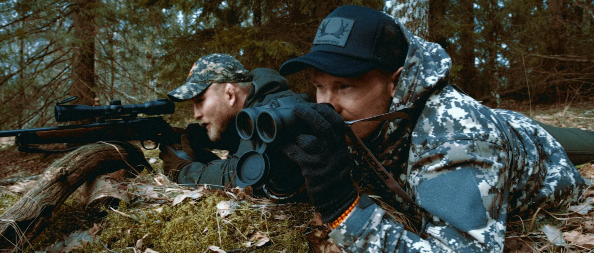 Color.io Still 002.jpg