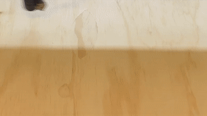 A wooden surface with a white wall in the background.