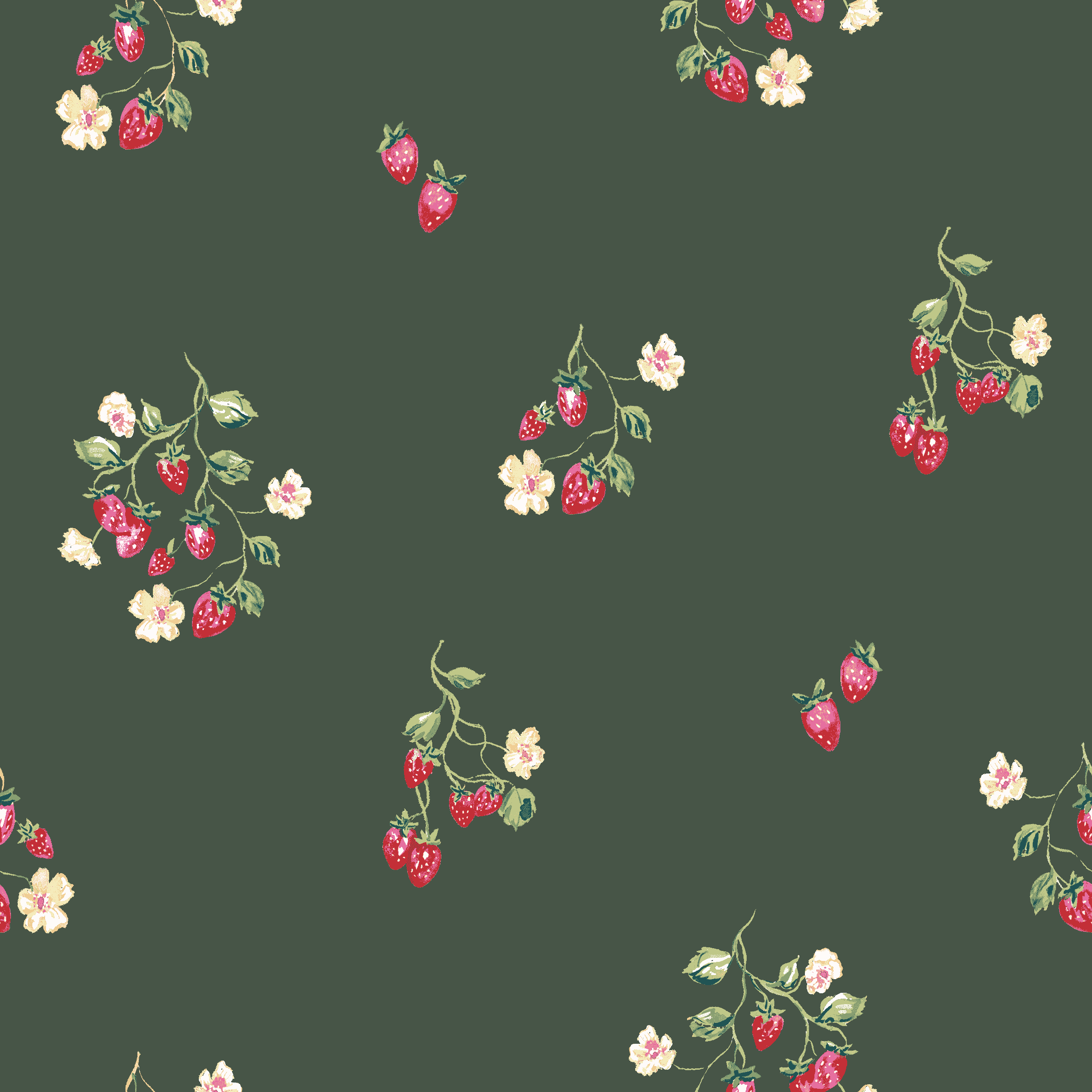 WILD STRAWBERRIES REPEAT INDEX c2.png