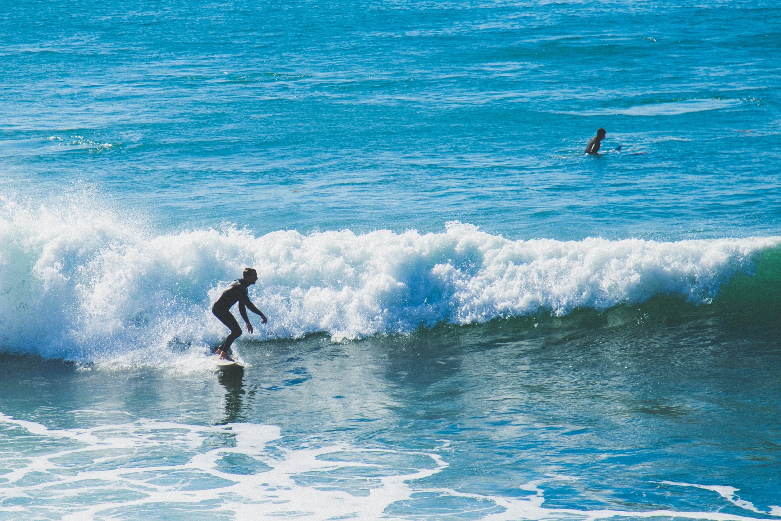 AdobeStock_350751274.jpeg