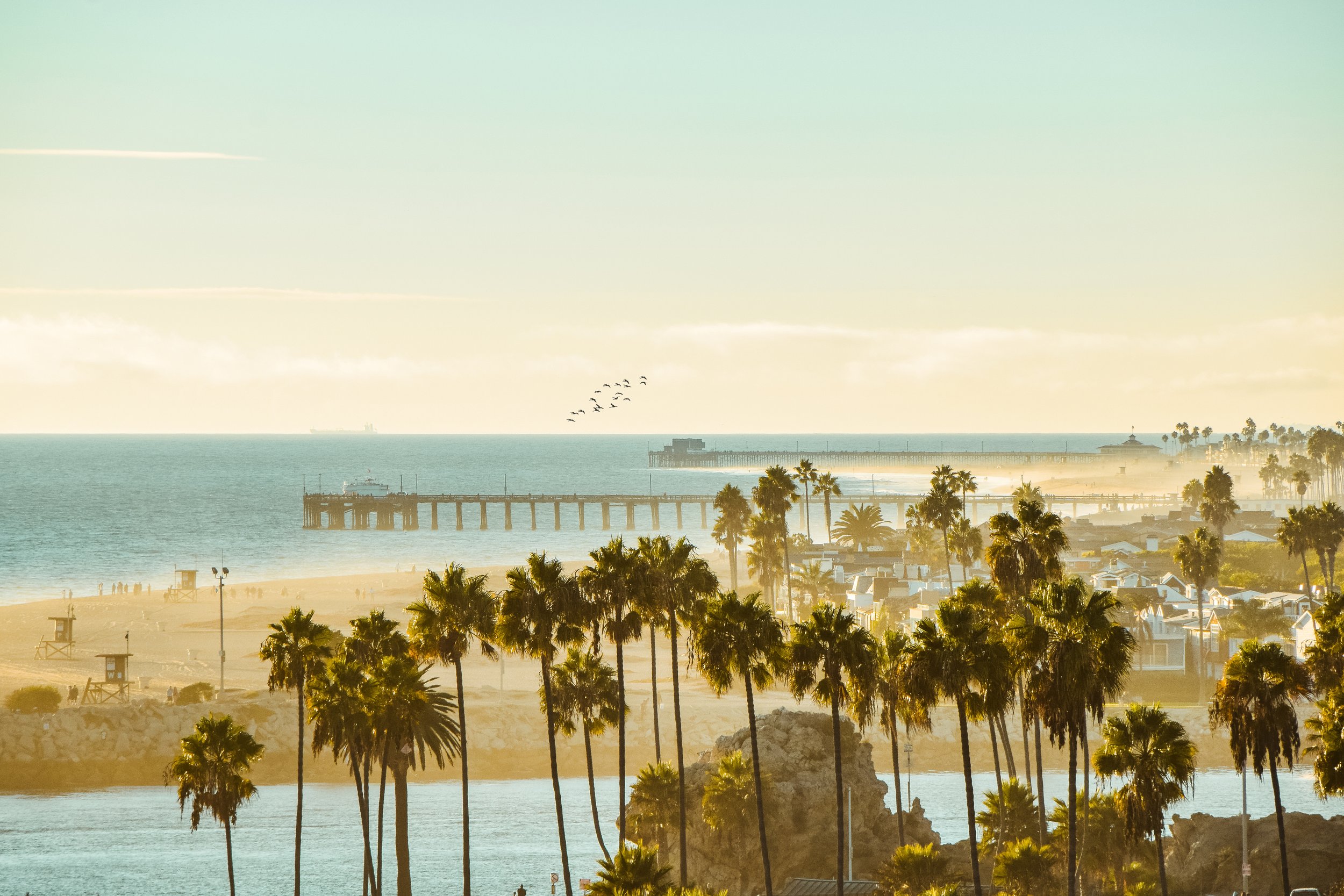 AdobeStock_128423098-2.jpeg